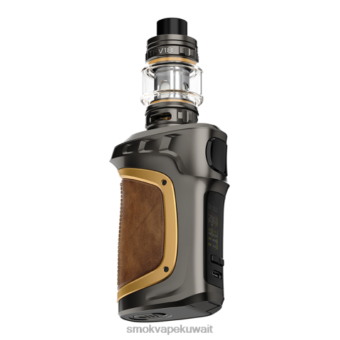 SMOK Vape Mod X2VH078 | بندقية معدنية ذهبية جلدية SMOK MAG-18 عدة